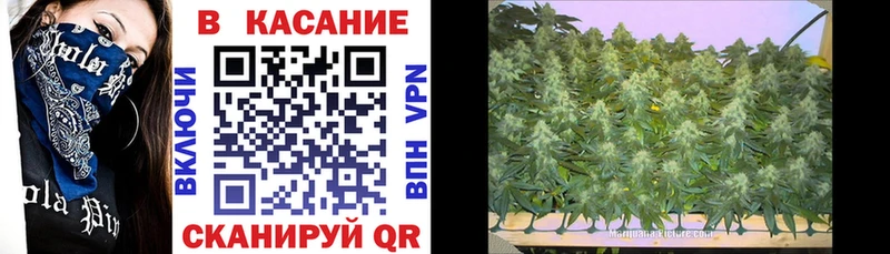  COCAIN Реж