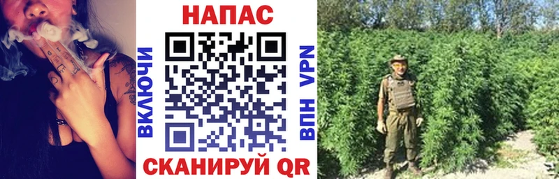 купить   blacksprut tor  Бошки Шишки OG Kush  Реж 